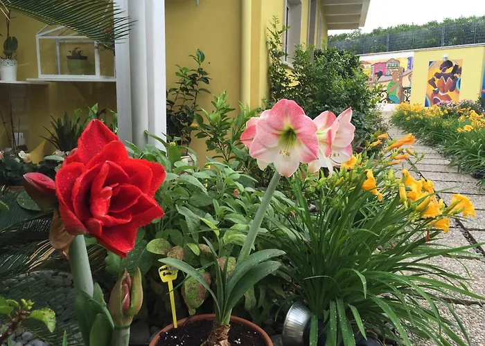 Bed and Breakfast La Casa (Adults Only) Bari